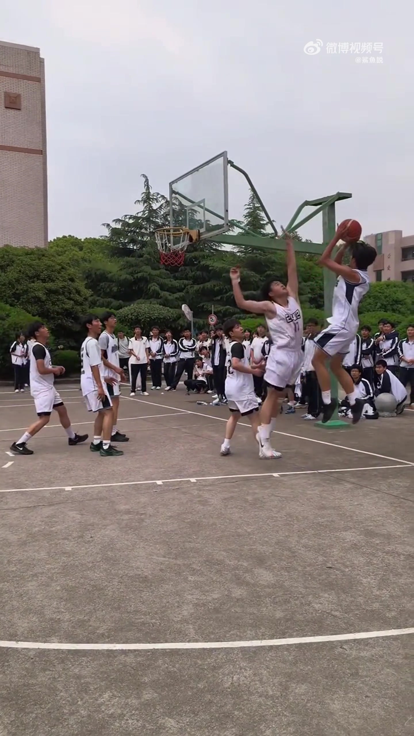 是篮球把这两种情绪演